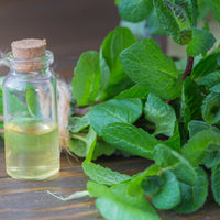 Peppermint_Mentha_Arvensis_Oil_1