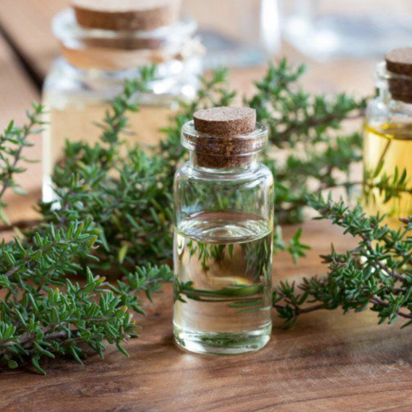 Thyme_Oil_2