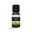 Tea_Tree_Australian_Oil_E03
